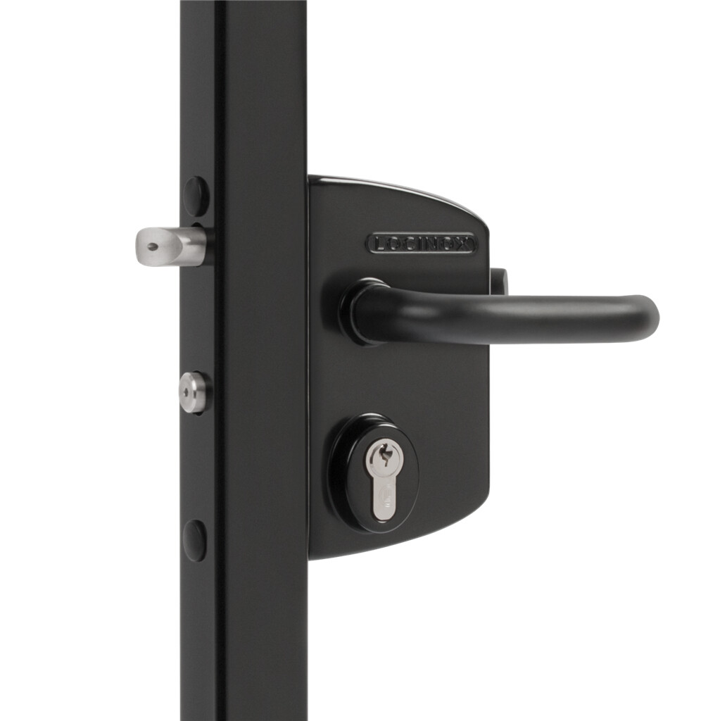 Surface mounted gate lock